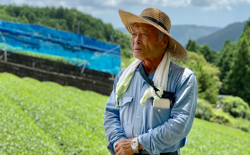 tea farmer